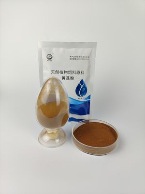 84687-43-4 중국 특허 의약품 황기 다당류 용매 추출