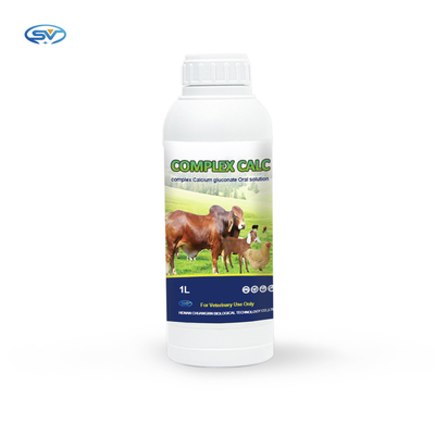 소 양 말을 위한 경구 용액 약제 복합체 칼슘 글루코네이트 경구 용액